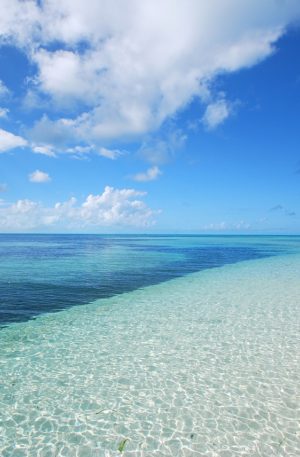 Balade hypnotique à la mer