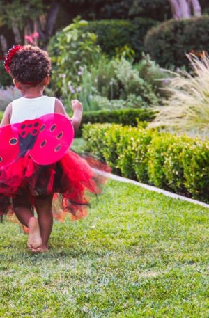 Conte thérapeutique pour enfants – Émilie la petite coccinelle